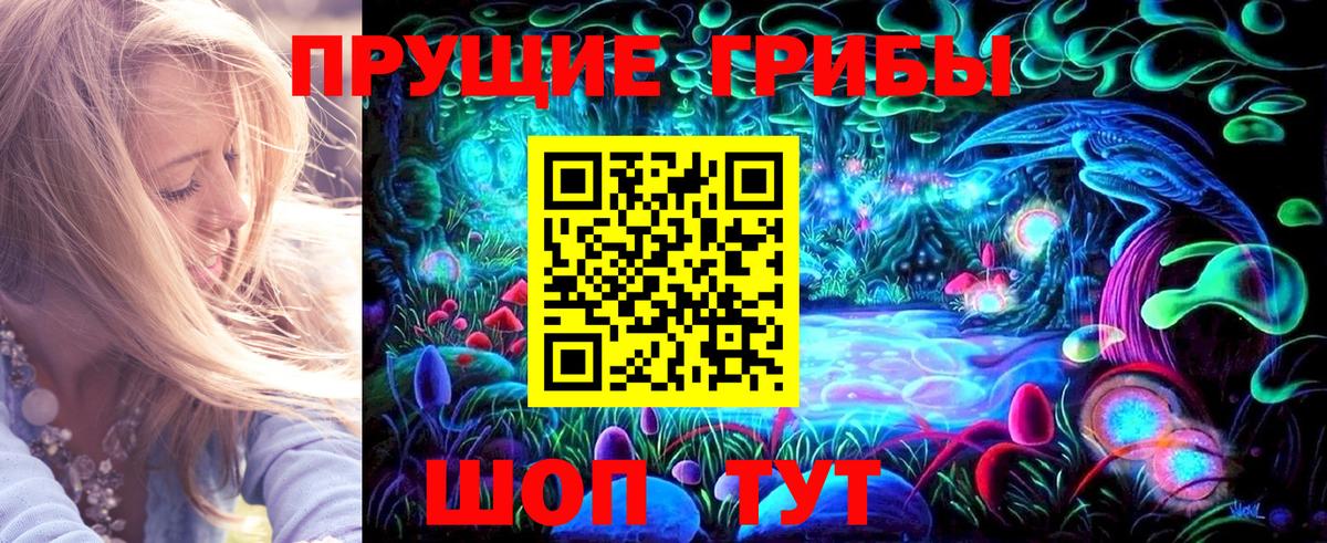 где продают наркотики  Псилоцибиновые грибы ЛСД  Вход с VPN  Димитровград  Галлюциногенные грибы Psilocybine cubensis 
